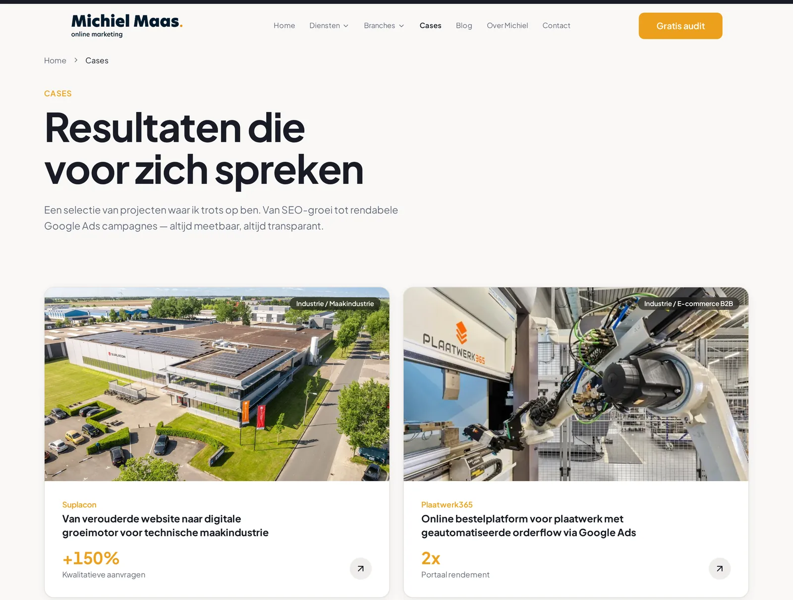 Casesoverzicht van Michiel Maas met per klant het belangrijkste resultaat