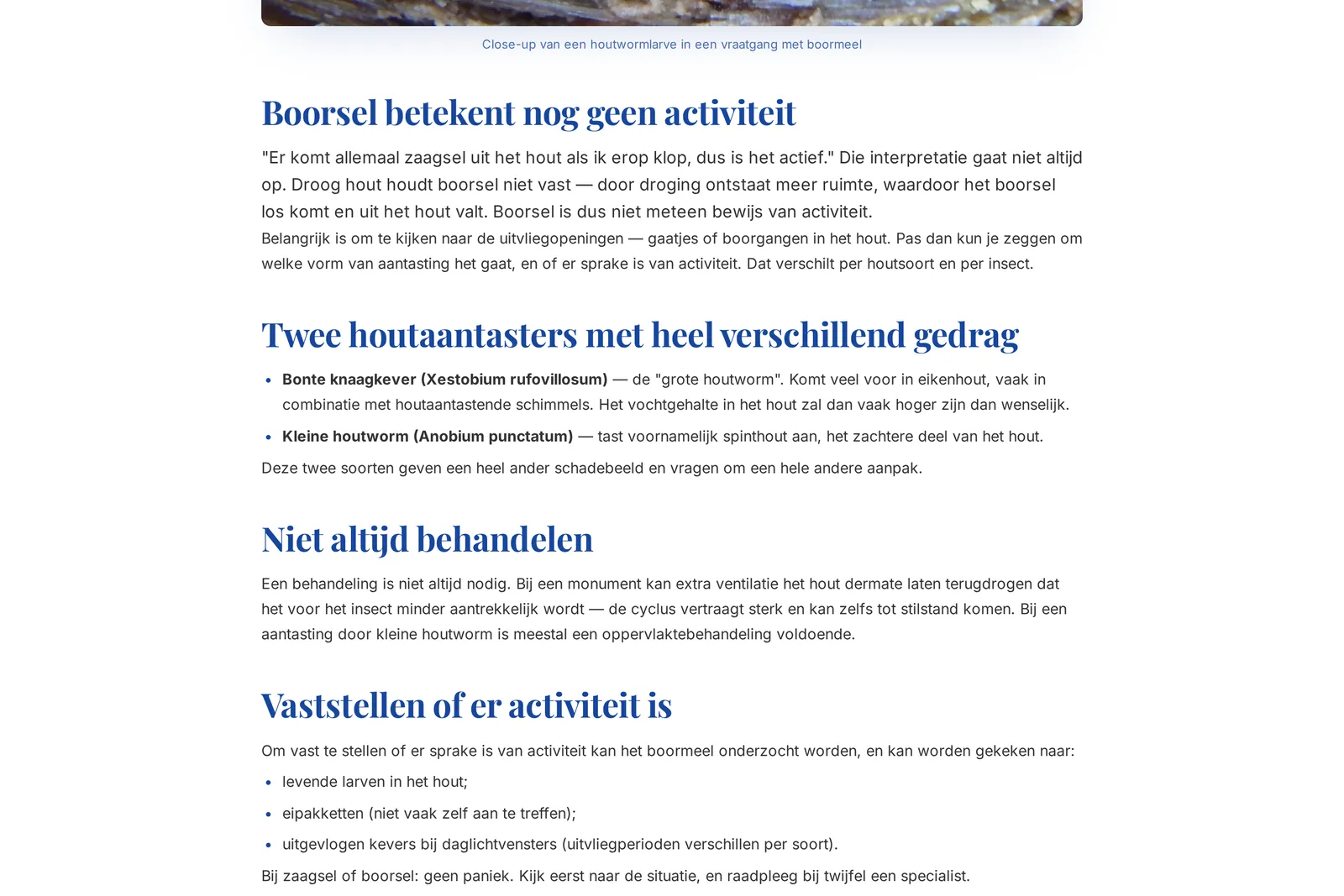 Kennisbankartikel over houtworm en bonte knaagkever