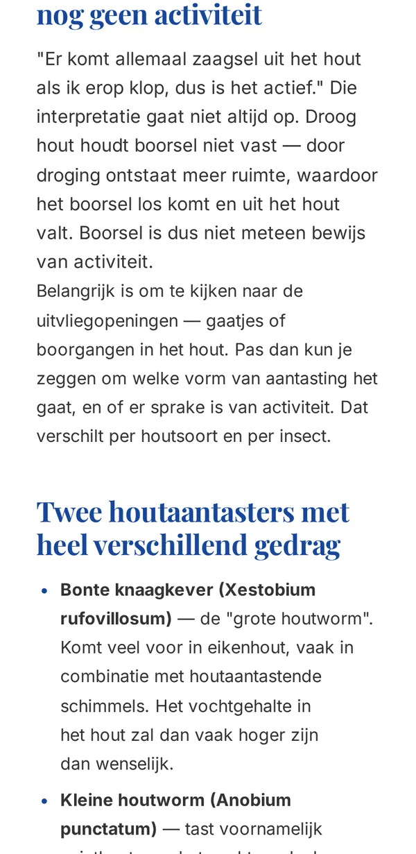Kennisbankartikel van NEDON op een telefoon